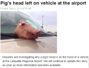 Pig's head left on vehicle at the airport