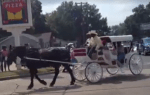 VIDEO: Bayou Black Rodeo parade gallops through Monroe