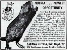 c9f29c461d70436bae27d11