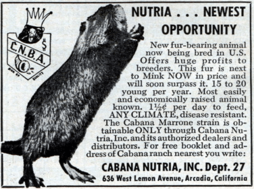 c9f29c461d70436bae27d11