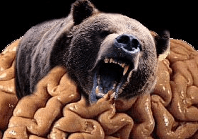 "Bear" in mind I no longer own PicklesTime.Com