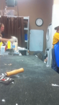 Original Pampered Paws Video