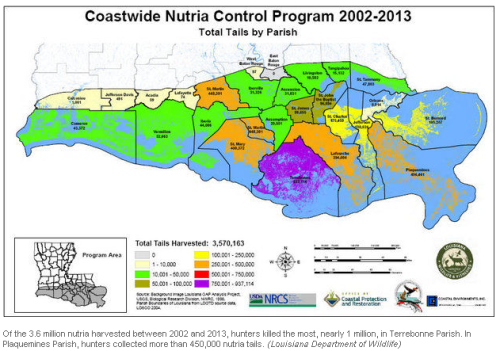 Bounty hunters making dent in nutria wetland damage, state wildlife officials say