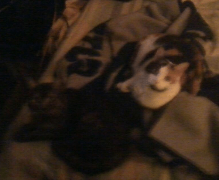 Thing #1 and Thing #2