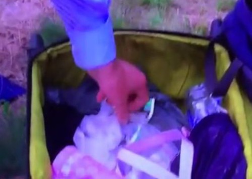 Featured Image -- 56460