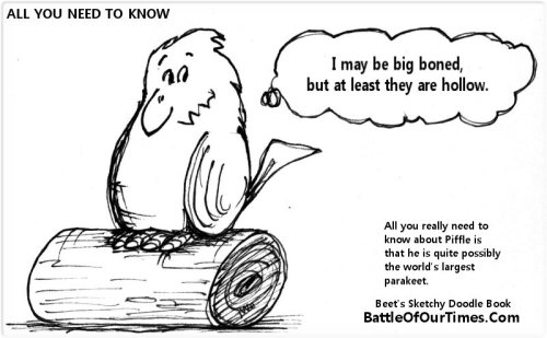 But you didn't know to ask.