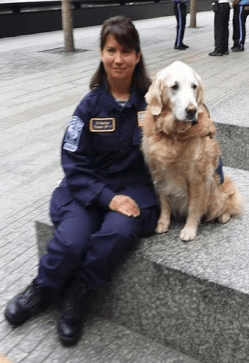 Heroic 9/11 Ground Zero Rescue Dog Returns To Site For 1st Time Since Attacks