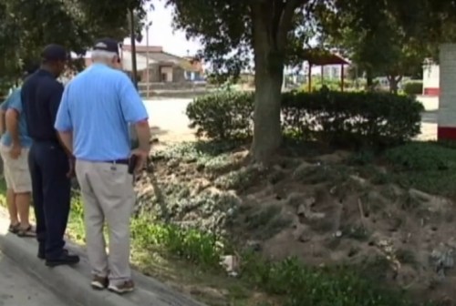 Rat Colony Overtakes Baton Rouge Ditch