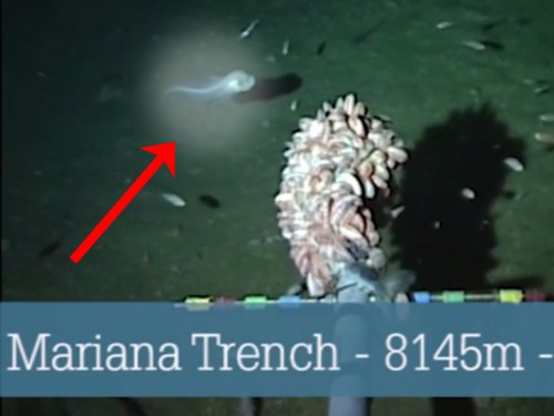 Featured Image -- 60331