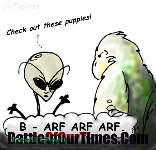 Who let the dogs escape?